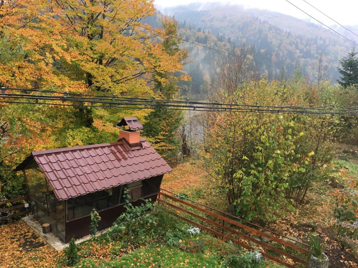 Mini-Hotel Serpanok 미쿨리친 외부 사진