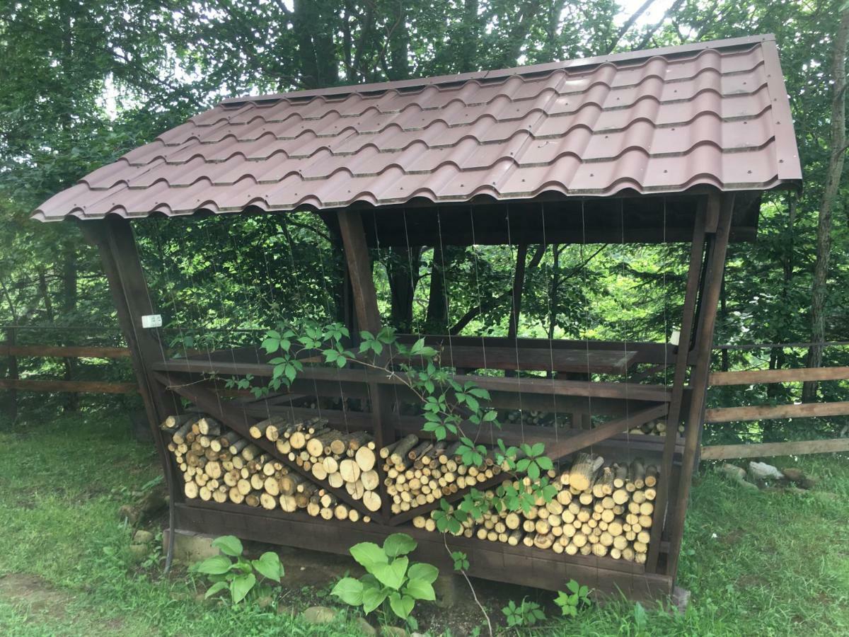 Mini-Hotel Serpanok 미쿨리친 외부 사진